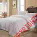 09103 Taihu Snow 100 Excellent Value Mulberry Silk Filled Plain Cotton Quilt White 788012307613