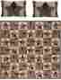 19834 Vhc Brands Bingham Star Country Quilt With 2 Pillow Shams Queen