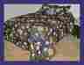 2pillow Milano Queen Bedspread 5 Pc Set Shams Outlined Quilted Navy Blue Floral New 050087285838