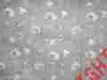 336 Malibu Levtex Starfish Beach Seashells Ocean Tropical 2pc Twin Quilt X 2 Sets Gray White Nip