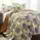 3ctnqltg-adr Amrapur Bedding Set 3-pc Reversible