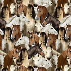 50064d-x Windham Fabrics One Of Kind Horses Multi