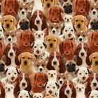 50065d-x Windham Fabrics One Of Kind Puppies Multi 852293311031