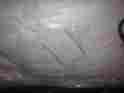 5652169 Pottery Barn Candlewick Quilt-full Queen-white-one Standard Sham-nwt