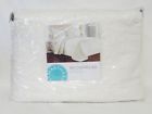 636189510643 Martha Stewart Flowering Trellis Ivory Queen Quilted Bedspread