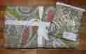 7204006 Pottery Barn Zia Paisley Quilt Full Queen W 1 Standard Sham 2 Pc Set