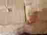 7745636 Pottery Barn Silk Jersey King Ca Quilt 2 Shams Ivory Nwts