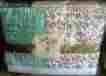8011913 American Dreamer Pottery Barn Teen Pbteen Junk Gypsy Full Queen Quilt Patchwork