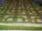 81x90 Handmade Green Queen Quilt Crossroads In The Foerest Cotton Free Shipping