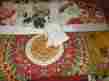 8989931 Pottery Barn Natasha Patchwork Quilt King Cal 2 Shams New