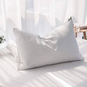 Aikoful 707870835908 Luxury 85% Waterfowl Feathers/15% Down Pillow Queen Size Hotel Quality Fluff