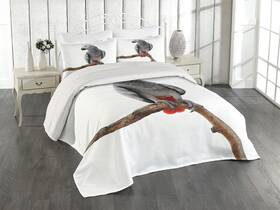 54211 Ambesonne Grey Coverlet Parrot Bird Psittacus Erithacus Standing On A Branch Tropical