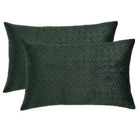 Artcest 634759922063 Set Of 2 Decorative Velvet Bed Throw Pillow Case Sofa Soft Quilted