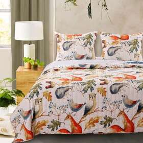 Gl-1806bmsk Barefoot Bungalow Quilt Set Kiing Graphic Polyester Pattern Multi-colored 3-pc