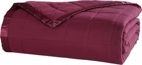 Beatrice Home Fashions 655385043656 Down Alternative Solid Color Blanket Twin Cabernet