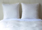 Bella Notte Celeste Euro Shams In Winter White 805379309293