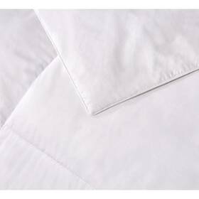 Cn007522 Blue Ridge Goose Feather And Down Fiber Comforter Year Round Warmth