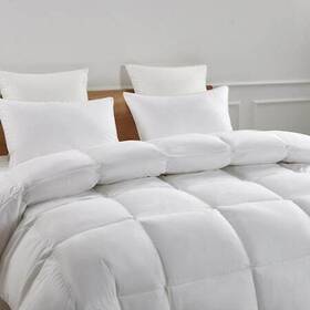 Se003027 Blue Ridge Goose Down/feather White Comforter Extra Warmth Twin