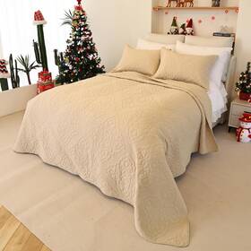Bov 445025852822 Queen Size Bedspreads 3-piece Quilt Set Lightweight Reversible Bed Qu