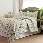 C F Anessa Botanical Cotton Queen 5 Pc Quilt Set Traditional Quilted Bedspread 008246326915