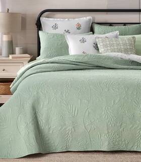 Charter Club 194137321746 Garden Vine Trapunto Cotton Full / Queen Quilt 2 Shams Set Sage