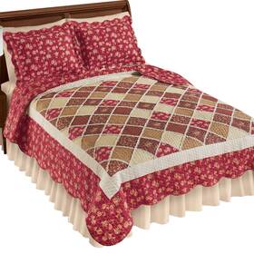 Afl24c013 Collections Etc Marlowe Trellis Design Floral Border Reversible Quilt