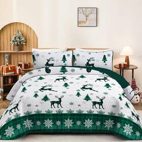 Cottolester 744759017178 Christmas Gifts For Women Quilt Set King Size 3 Pieces Green Christma