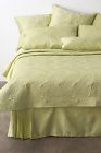 Cyd370-041-qtg Dkny Donna Karan Chrysanthemum 800298422795