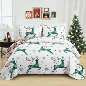 Dinjoy 313109899827 Christmas Gifts For Women King Quilt Set Green Printed Bedding Cu