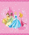 Disney Princess Quilt In Full Queen Size Sale 0032281253141