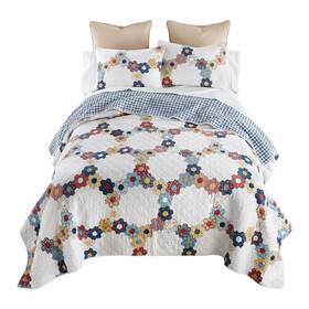 Donna Sharp 754069621002 Prairie Cotton Quilted Bedding Set - 3-piece Queen Size Quilt