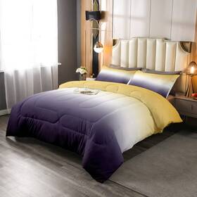 Oyls01525hjf-bz Erosebridal Usq Ombre Comforter Set Purple White Yellow Bedding Queen Size Colorful Gradi