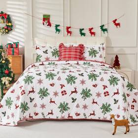 Evenhug 313085967954 King Size Quilt Christmas Theme Bedding Set With Pillow Shams Reversible