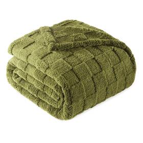 Bk-qpg9090-og-uk Exclusivo Mezcla Queen Size Flannel Fleece 90 Inch X90 Olive Green