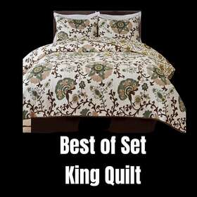 Hedaya Home Fashions 048035001685 Charlotte Quilt Set King Sage Brown Taupe On Cream 2 Shams Machine Wash Nip