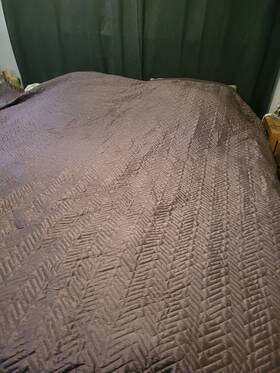 Jennifer Lopez 400985550550 King Size Coverlet Blanket Purple