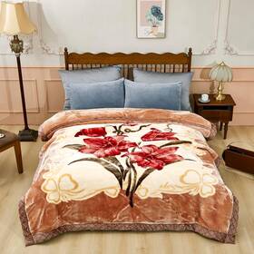 156-817-337 Lgykumeg 9 Lbs Heavy Korean Mink Blanket Silky Soft And Queen77x90 Inch Light Brown
