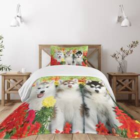 Lunarable 682043051830 Dog Lover Bedspread 3 Siberian Husky On Grass Flowers Nature Outdoors Summer