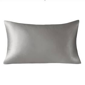 Mp21-7273 Madison Park Queen Pillowcase 100% Mulberry Silk Gray