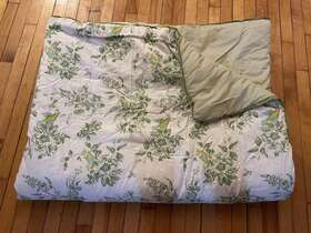 Martha Stewart 766370149717 Collection Reversible Strip Twin Comforter Green Bird 80 Inch X60