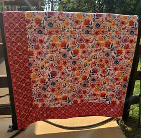 Pioneer Woman 041808018484 The Fluttering Fancies King Velvet Bed Quilt Reversible Excellent