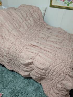 6329450 Pottery Barn Twin Size Twill Cream Puff Quilted Comforter Pink