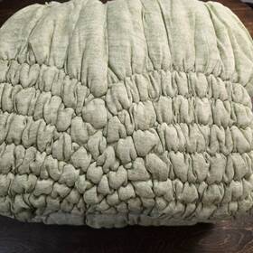 9938462 Pottery Barn Teen Cream Puff Twill Quilt Twin / Xl Sage