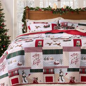Ppolca 750656059531 Christmas Queen Quilt Bedding Set Snowman Printed Lightweight Reversible Bedspr