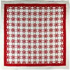 Q 1990 Lancaster County Quilting Creations Red And White Traditional Ohio Star