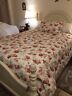Ralph Lauren Danielle Roses Floral Bedspread Quilt Comforter Queen Sham