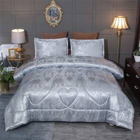 Raytrue-x 795042161931 Grey Queen Size Comforter Sets All Season Silver Bedding Lightweight Comforte