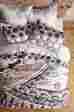 S27056605 Tahla Anthropologie Nwt Hothouse Collection Full Quilt And 2 Standard Shams