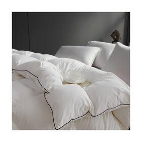 Sleeprove 941601105371 Noiseless Queen Size Down Comforter Medium Weight All-season Duvet Insert Wit