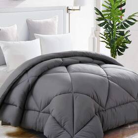 Tekamon 979307630088 All Season Queen Comforter Winter Warm Soft Quilted Down Alternative